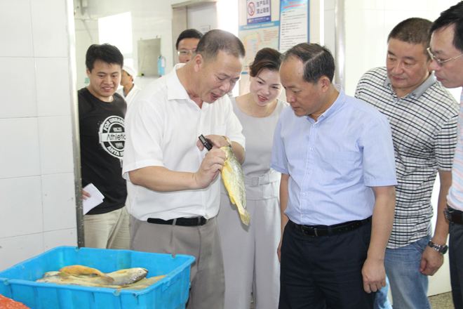 福建“面朝大?！奔涌炝魍▌?chuàng)新